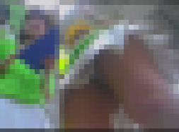 【再販】キャンギャル逆さ風6　キウイ試食キャンギャルちゃんの食い込み生P！ サンプル画像