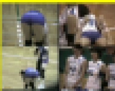 3771/「一心同体化撮り・萌えよ女子バレー、おいらが胸に(48)」 サンプル画像