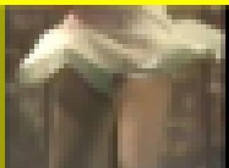 2779／「蒐集撮り・チアーでいこう（21）」画像