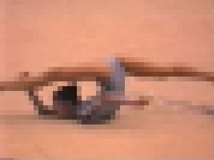 QQ-04 新〇操大会04 サンプル画像