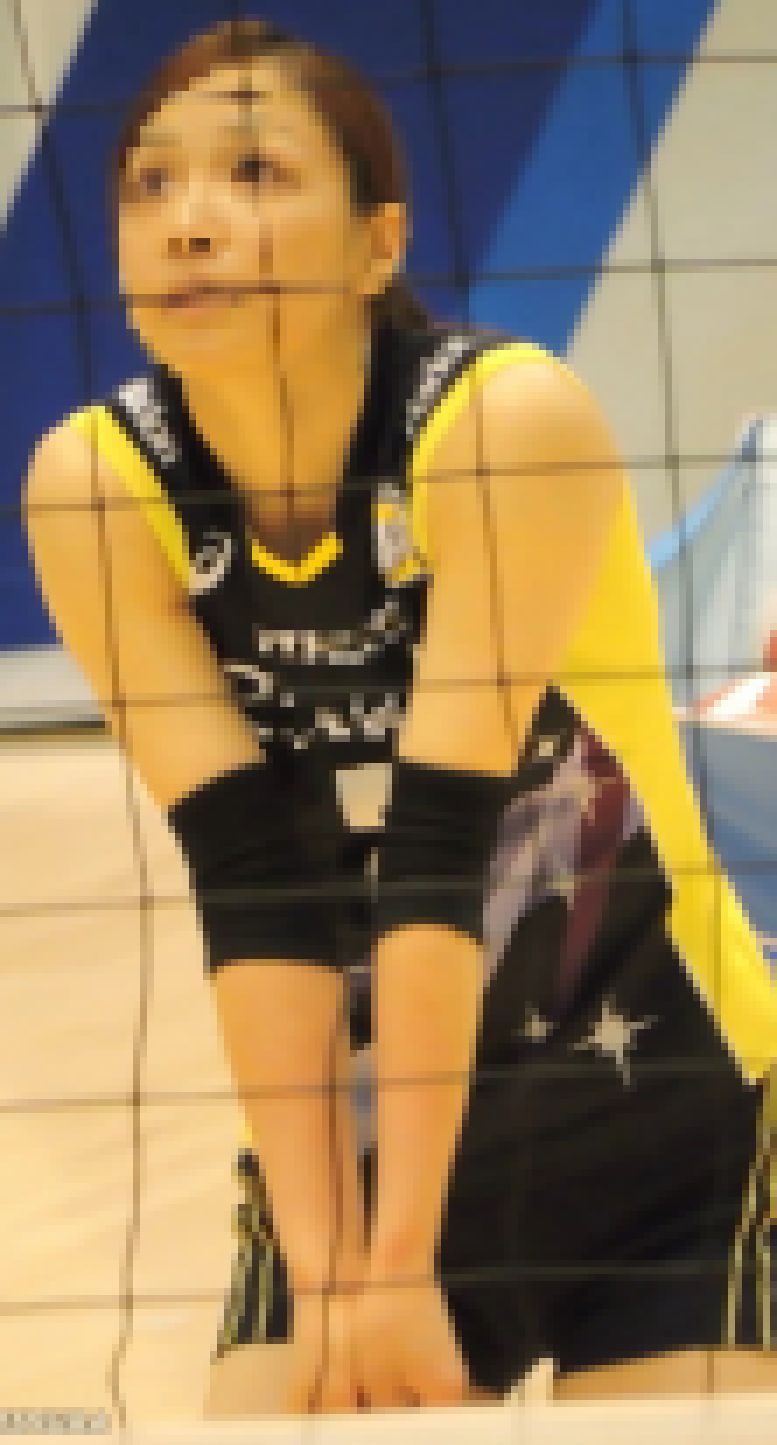 全日本バレーボール選手権大会【動画】スポーツ編 5005 サンプル画像