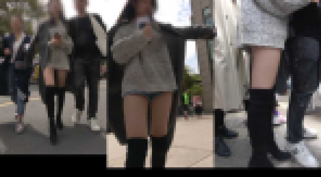 【お得なセット販売】 サンプル画像