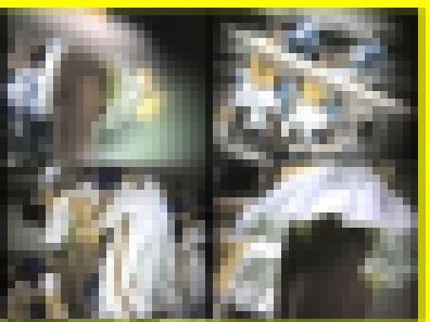 4311／「蒐集撮り・チアーでいこう（70）」 サンプル画像