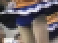 3193／「蒐集撮り・チアーでいこう（44）」 サンプル画像
