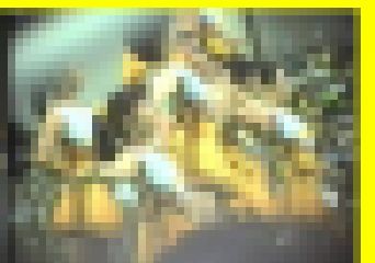 2931／「蒐集撮り・チアーでいこう（28）」画像