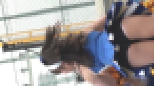 Cheer279-280 サンプル画像