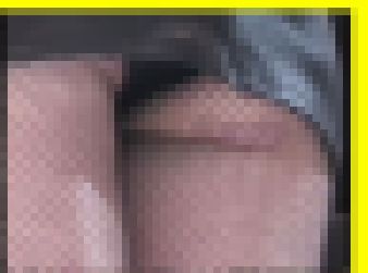 3187／「探り撮り・キャンちゃんがくれた秘境大冒険（３）」 サンプル画像