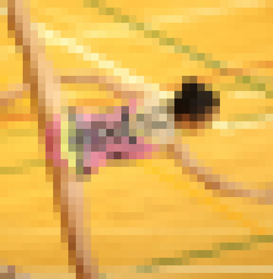 【超・早期終了】新体操競技140 サンプル画像