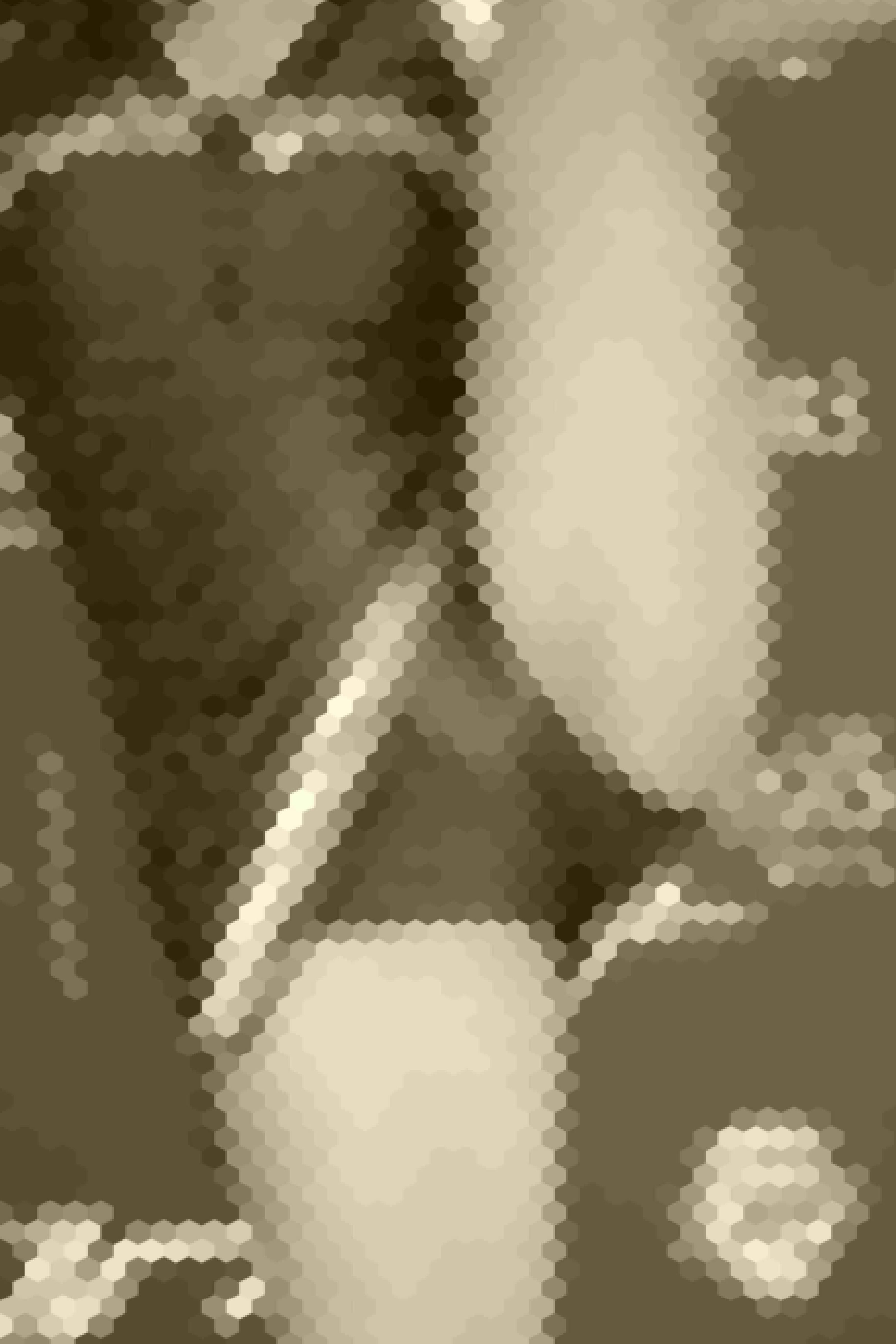 C-LAND 7 サンプル画像