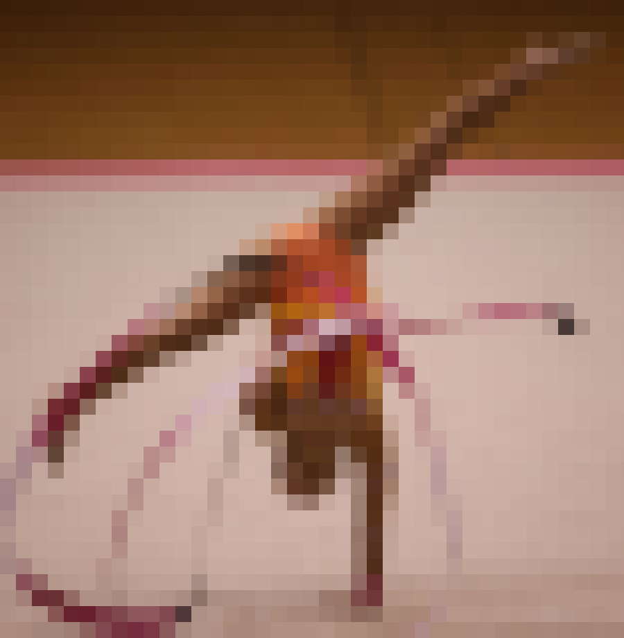 新体操競技178 サンプル画像