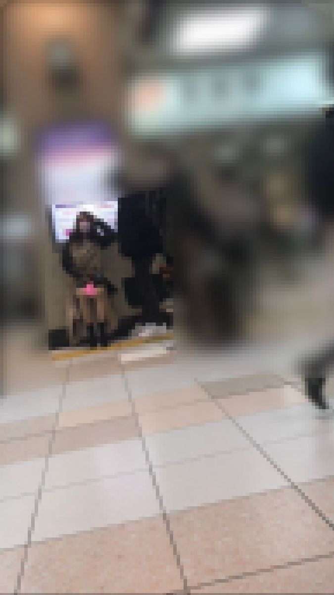 【パンチラ】聖なる夜 サンプル画像