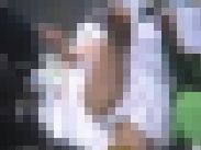 4262／「蒐集撮り・パレードでいこう（15）」 サンプル画像