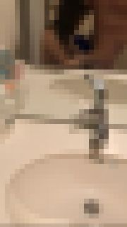 ??SC¿¢¢??ülÈÌm[nh¬W|W|tF?? サンプル画像