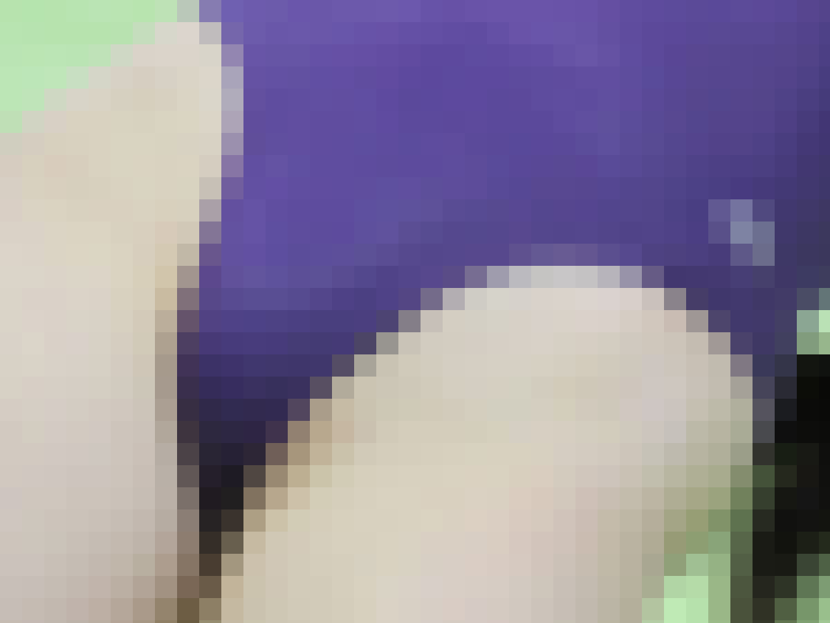 体操競技-079【再販商品】 サンプル画像