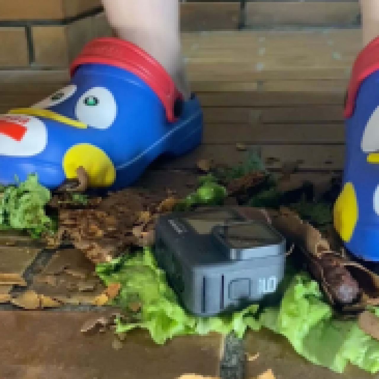 【世界初】ぴえん×スイートタマリンドの化学反応を君たちはまだ知らない。 画像