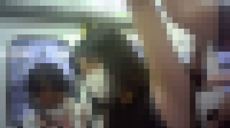 大学生のエロい生腋生脇生ワキ サンプル画像