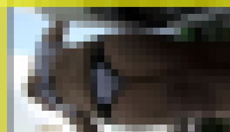 4833／「裏切り撮り・キャンちゃん危機一髪化作戦（152）」 サンプル画像