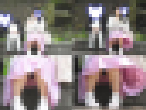 お座りお姉さん発見！！（ＦＨＤ）大変です！！パンツが見えてますよ１２８ サンプル画像