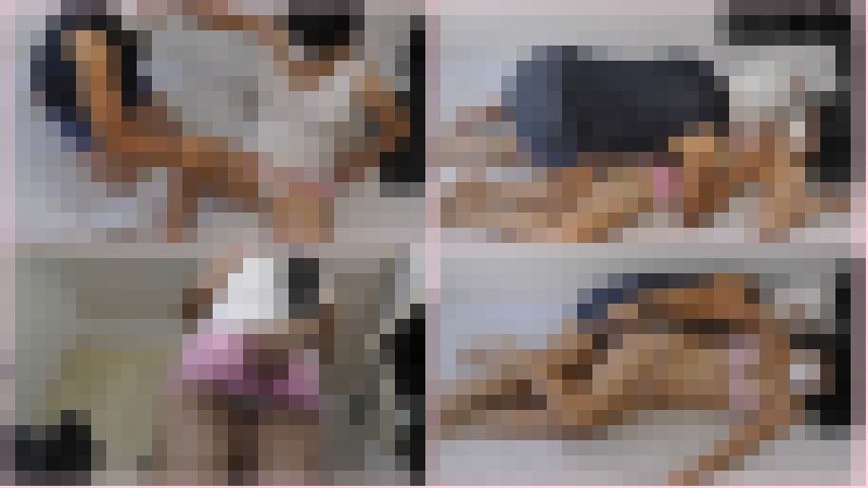 超ミニスカ　恋人ごっこ　マキコちゃん3　着衣の胸の膨らみから下着姿へ　サンプル画像2