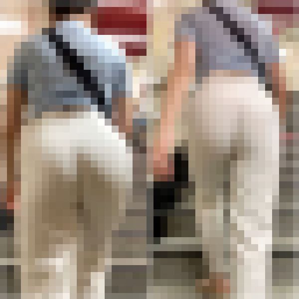 【再販】No.593「こんな姿で仕事をする都会のOL2選」　サンプル画像4