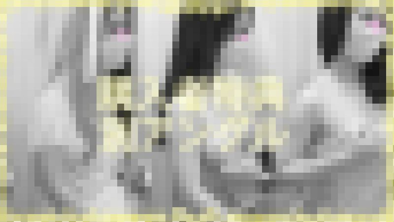 ※購入者特典※ vol.50【新婦お色直し/結婚式の胸チラパンチラ】 サンプル画像4