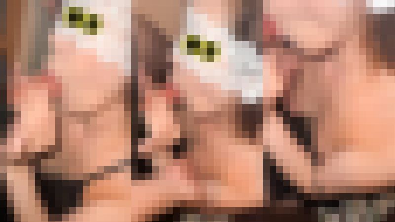 【個人撮影NTR】NO.52　友妻…念願のNTR報告。　サンプル画像1