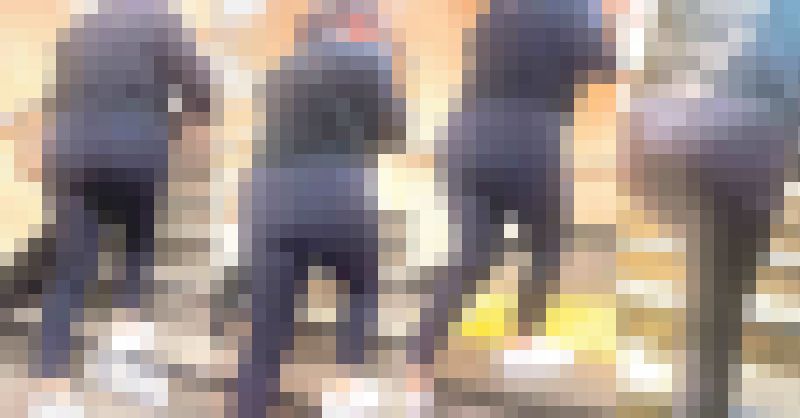 ムッチリ奥様の肉厚デカ尻!肉感エロボディに安産型の巨尻を突き出して♂を挑発! 下品なスラックス 奥様編 サンプル画像1