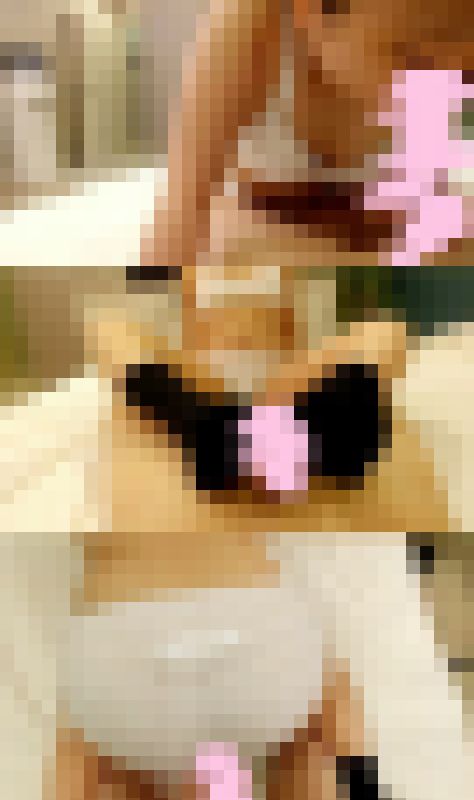 くびれなし幼児体型のセーラー服女子がとんでもないドＳでおもちゃにされてしまった……　【動画】　サンプル画像2