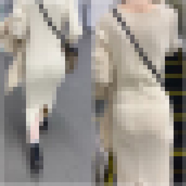 【再販】《４K・高画質》 No.818「凄く可愛いお嬢様系GALのPラインからハミ出す尻肉」　サンプル画像6