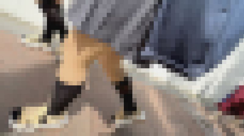 【再販】【4K高画質】パンスト・ナイハイ・シースルーソックス 透けた爪先巡り旅　サンプル画像4