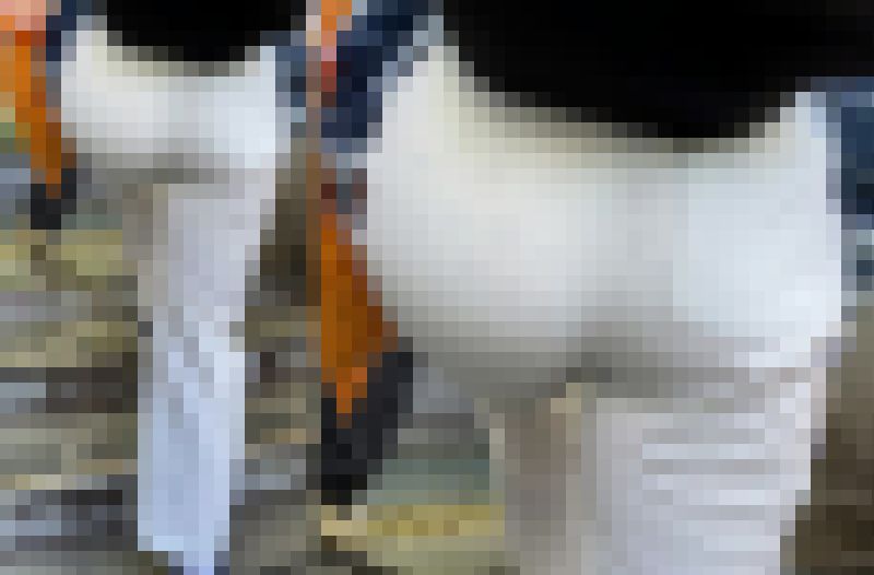 素朴な女子大生のハート柄パンティー透け透け動画。 画像