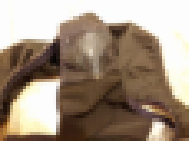 【汚パンツColle⑤高画質】あの娘の汚パンツ＋ブラ　BUKKAKE!!!　サンプル画像4