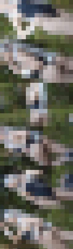 超高画質FHD動画 過激コスプレは『表現の自由』か？ 露出しまくるえっちなコスプレイヤー達NO-1NO-2セット　サンプル画像1