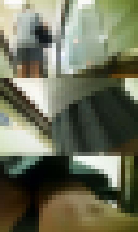 制服JKちゃん達の放課後の日常風景　サンプル画像2