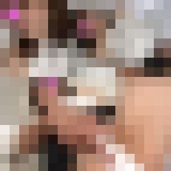 【癒し映像３本セットその2】 画像