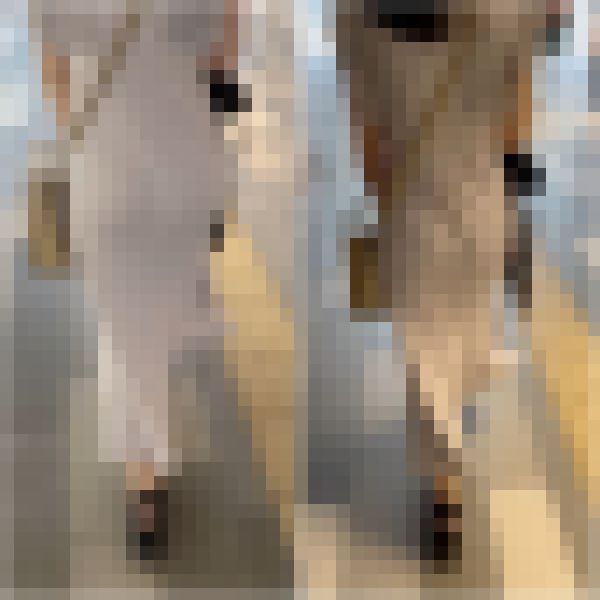 【再販】《４K・高画質》 No.869「割れ目に食い込むダンスパンツ！プルプル感がヤケにエロいセレブお姉さん」　サンプル画像3
