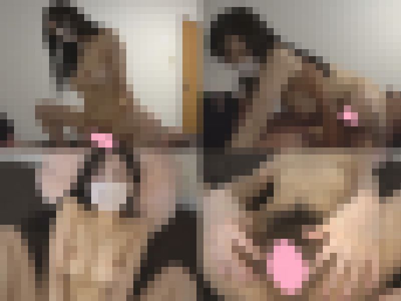 【再販】【イ゛ｸﾞッ…！ｱ゛ｱｯ】 賢そう(笑)なデカパイOLをわからせ交尾！ ガクブル中イキ連発メスに育成！【真夕(28)】　サンプル画像5