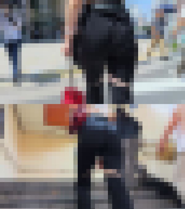 歩行記録0200「ピチピチパンツギャル系女子の弾力ぷり尻を愉しむ」 サンプル画像2