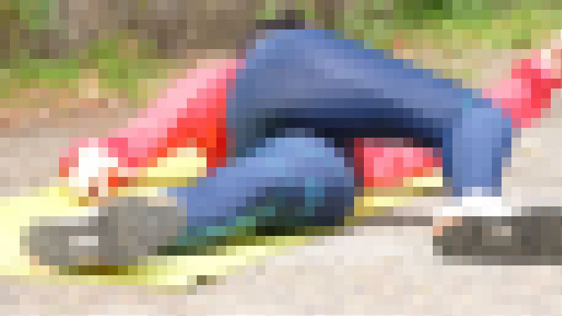 【再販】400M専門 陸上女子 透けすぎて視線を集めまくったエロすぎるロンタイ〇D　サンプル画像2