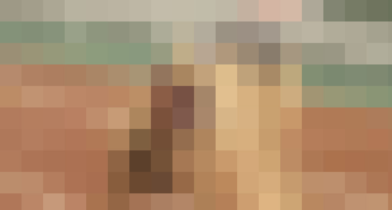 【再販】【AIリマスター】AIR_0576 準決勝２組 あの日本代表美人選手も収録！お得なセット価格で　サンプル画像1