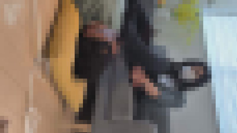 【再販】自撮り応援企画さなちゃん⑨プライベートでM男足責めストッキング踏み舐め編　サンプル画像1