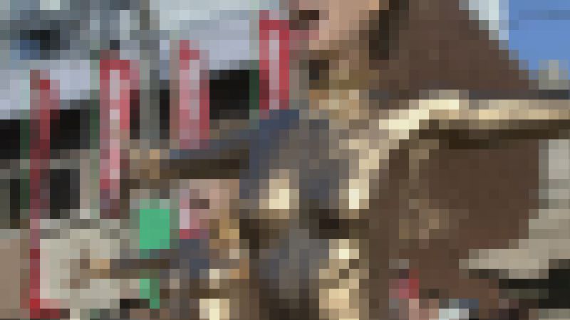 【再販】金粉ショー vol.1 サンプル画像