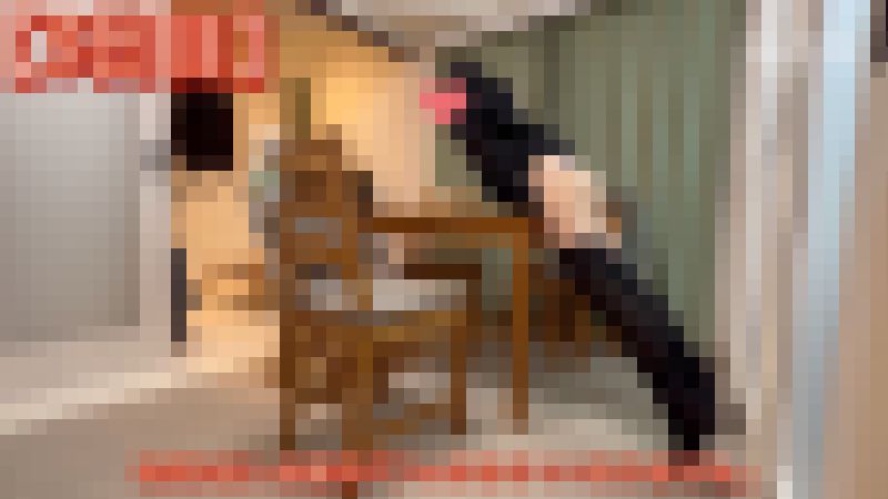 【角オナ尽くし14】どんな角でも全力イキ?毎日とまらない！姪っ子ちゃんの角オナライフ（5日分）　サンプル画像3