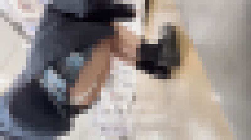 【再販】制服おぱんつ拝見隊05/カプセルトイに夢中で無防備なパンチラ全開娘編　サンプル画像5