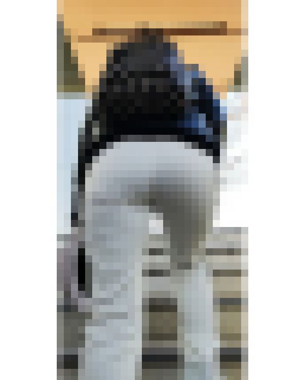 《尻神》激揺れ!!デカ尻セレブマダム サンプル画像