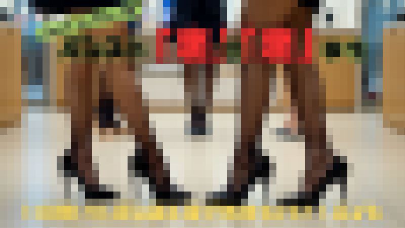 とあるケータイショップのパンスト”裏”の”裏”事情-一日履いたパンスト足で気持ちいい！バイト- サンプル画像