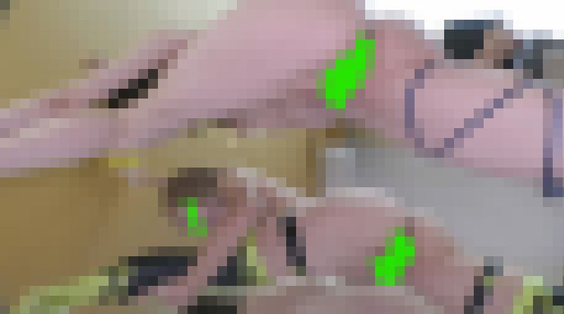 yÄÌz[nºBeï}éfV[Y35]VEgüfÌsÏ·¬éS¨§¿äI¨¾2{Zbg@Tvæ2