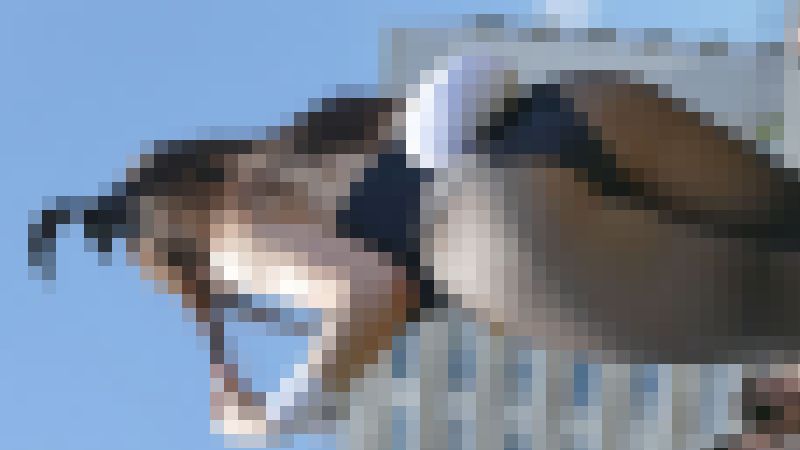 リアルにヤバすぎます！野外コスイベに集まる露出狂レイヤー達NO-12 お尻食い込み黒バニーちゃん編　サンプル画像5