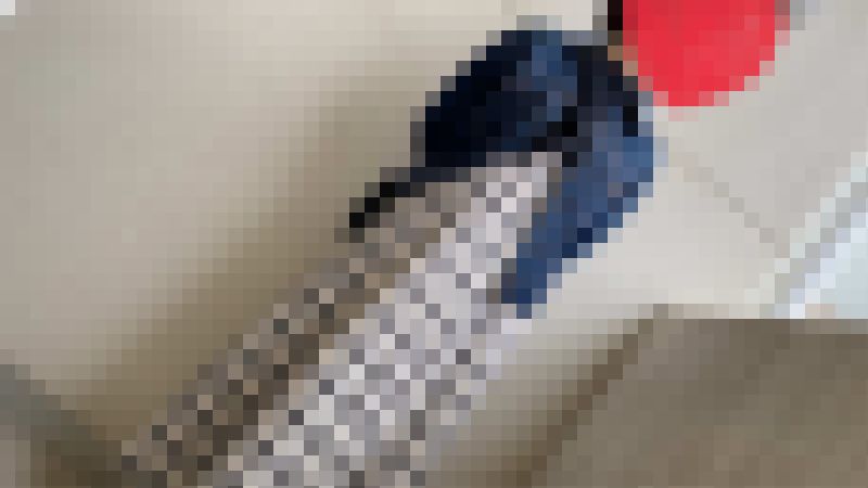 【再販】37E【だまし撮り】[企画]いつの間にかパンチラモデルに。(汚されていく純粋系女子)　サンプル画像4
