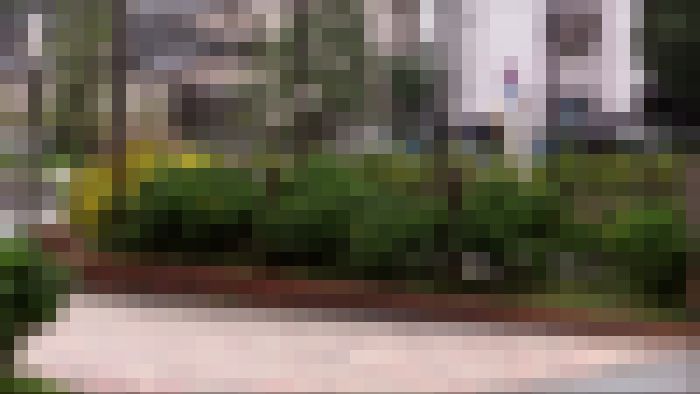 【再販】本物の満員電車に突撃！7　〜ノーブラで街を闊歩する分厚い唇女〜　サンプル画像3